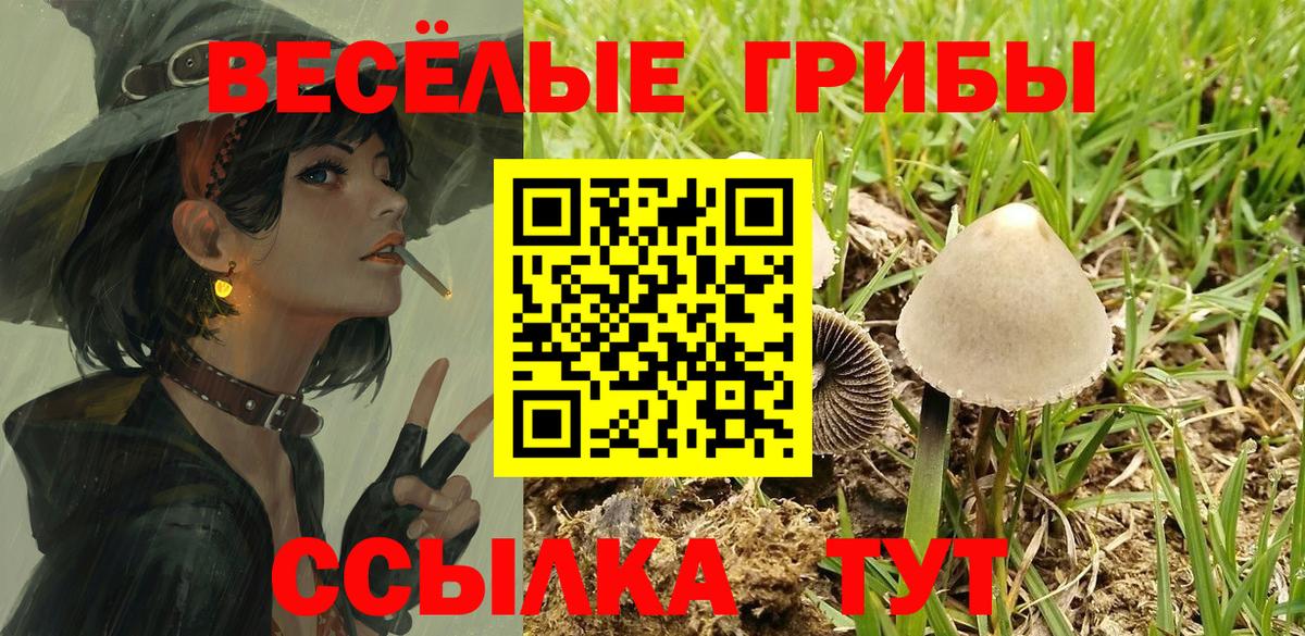 Галлюциногенные грибы Psilocybine cubensis Краснодар